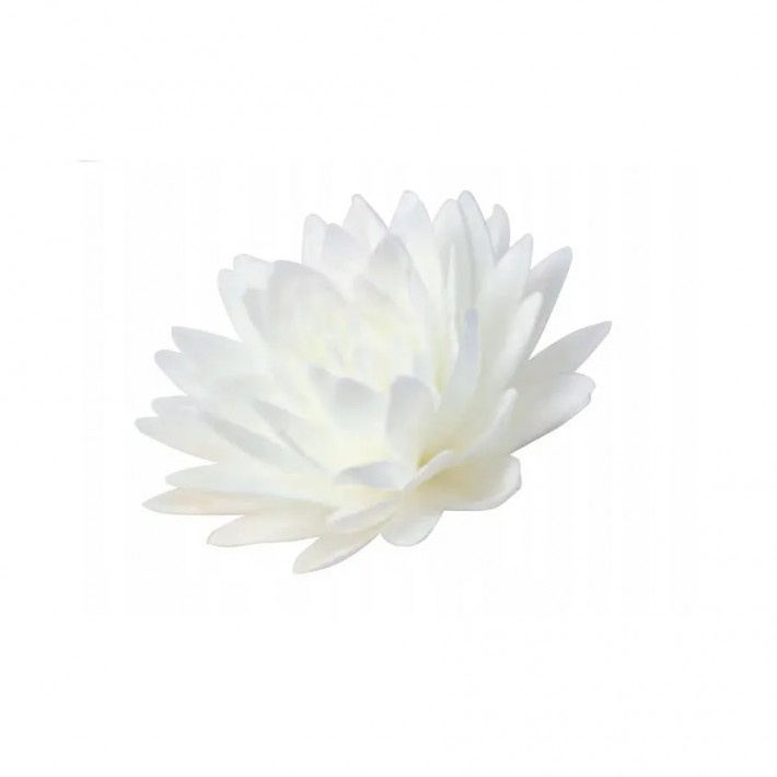Dekoracja na tort kwiat Aster peoniowy biały - 1 szt.