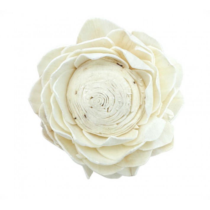 Suszone kwiaty Lotos shola - biały