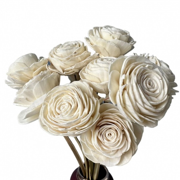 Suszone kwiaty Róża shola - biała/kremowa