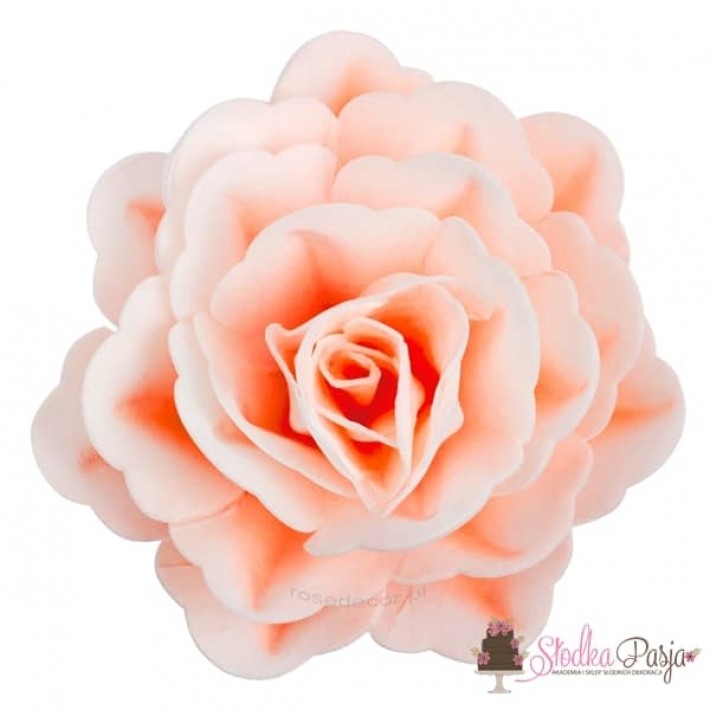 Dekoracja na tort kwiat róża chińska cieniowana łososiowa waflowa - 1 szt