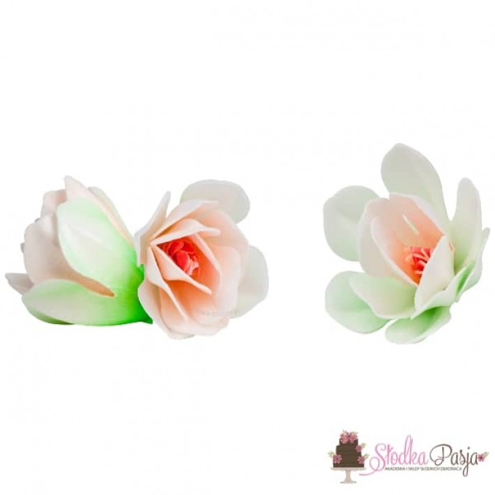 Dekoracja na tort kwiaty Magnolia biała - 6 szt